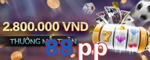 88pp