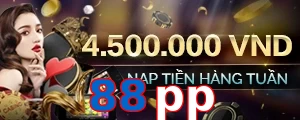 88pp