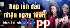 88pp
