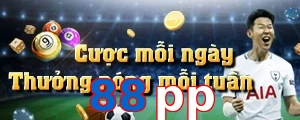 88pp