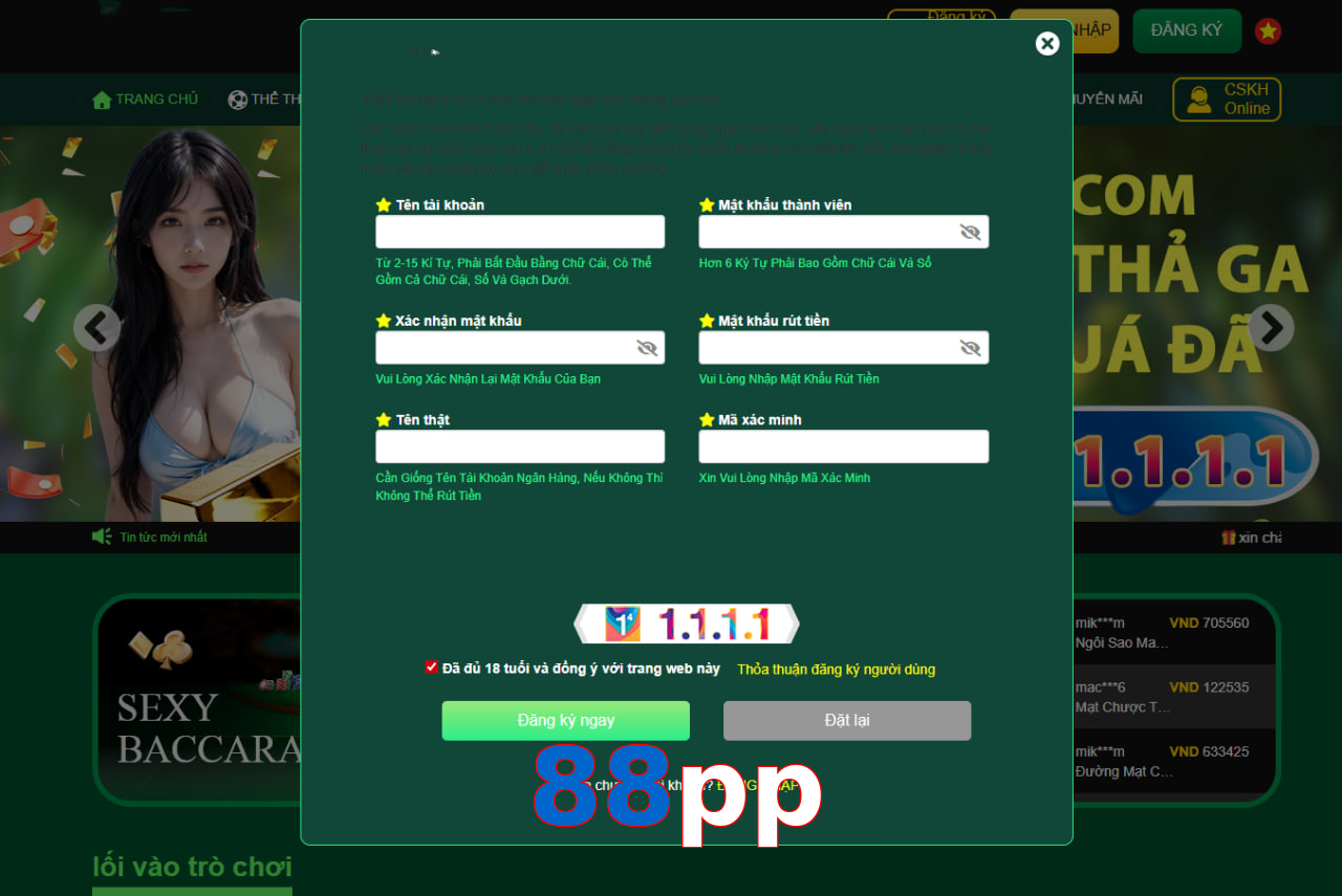 88pp